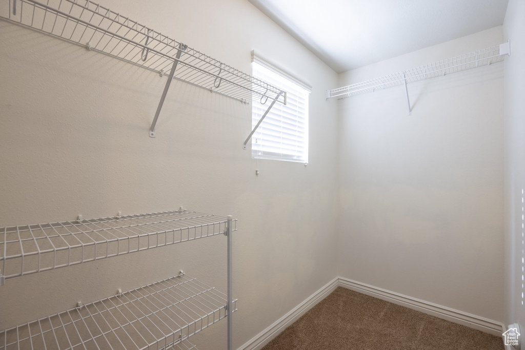 11763 S CURRANT DR South Jordan, UT 84009