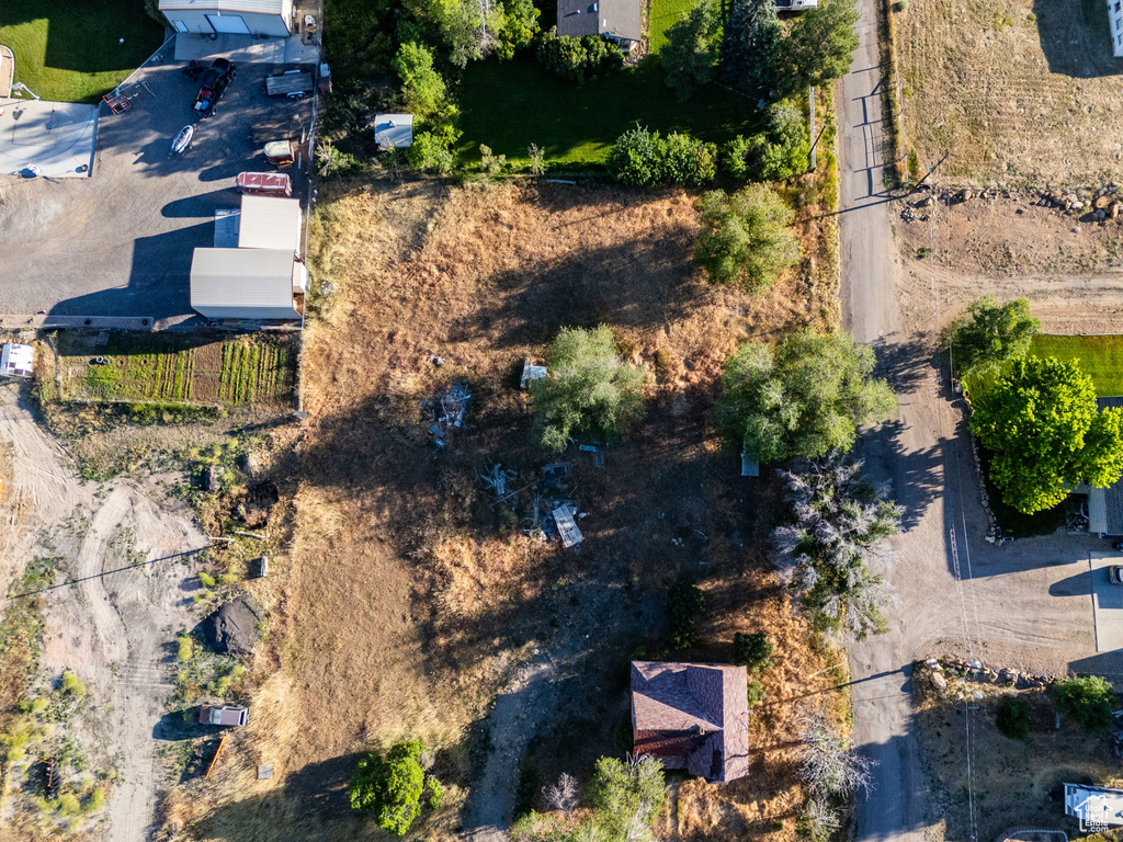 Bird\'s eye view