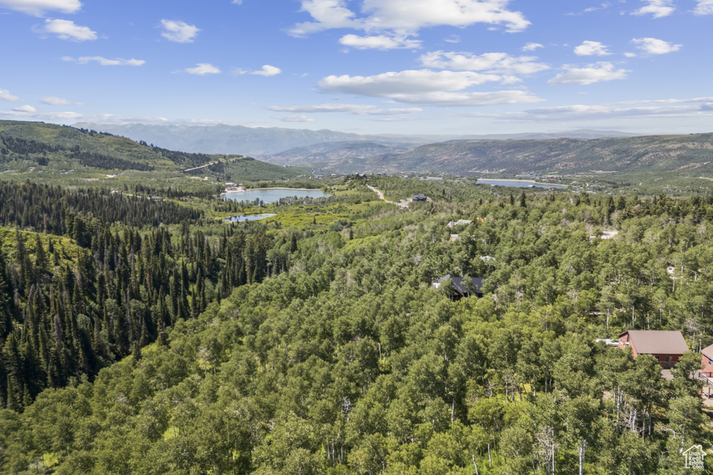 Aerial view of a forest and a water and mountain view