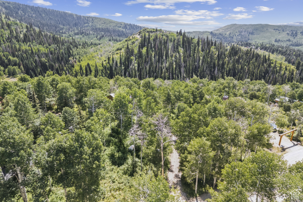 Mountain view with a forest