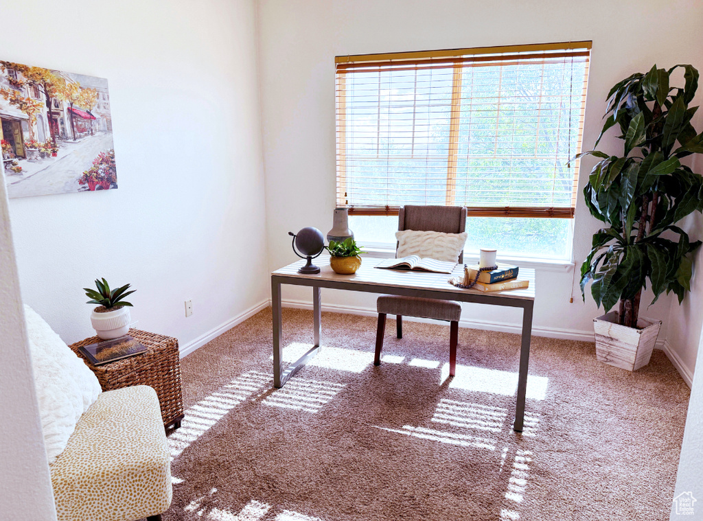 Photo 17 for MLS #2099621 at 1208 S Meadow Fork Rd #2