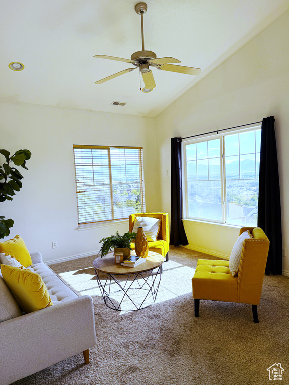 Photo 11 for MLS #2099621 at 1208 S Meadow Fork Rd #2