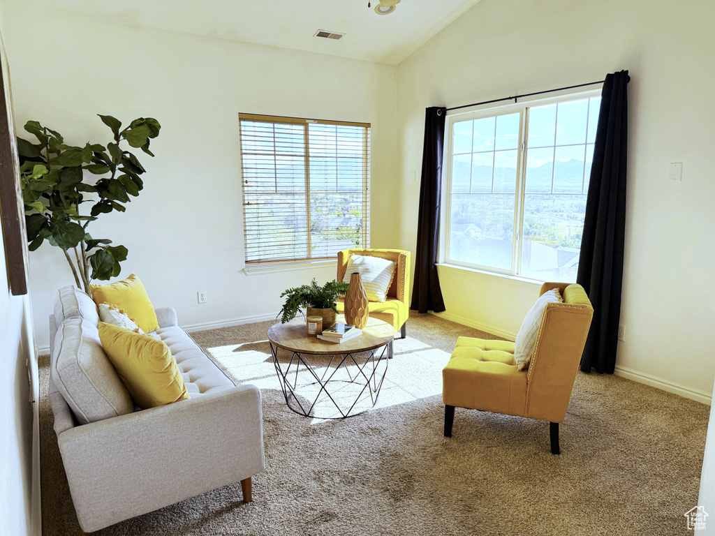 Photo 10 for MLS #2099621 at 1208 S Meadow Fork Rd #2