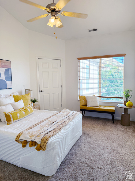Photo 12 for MLS #2099621 at 1208 S Meadow Fork Rd #2