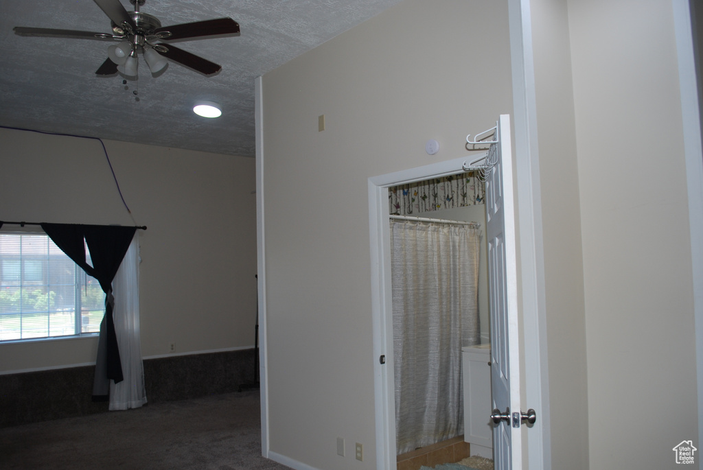 Hall with carpet