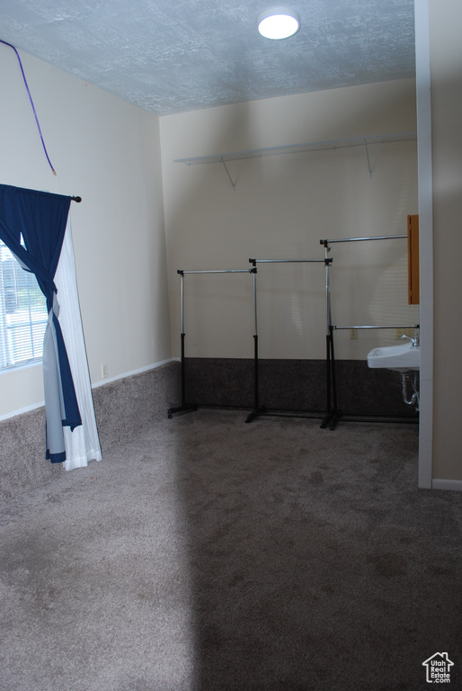Basement with a textured ceiling and carpet floors