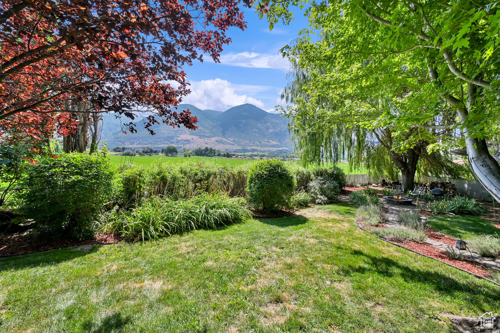 695 E 2450 N North Ogden, UT 84414