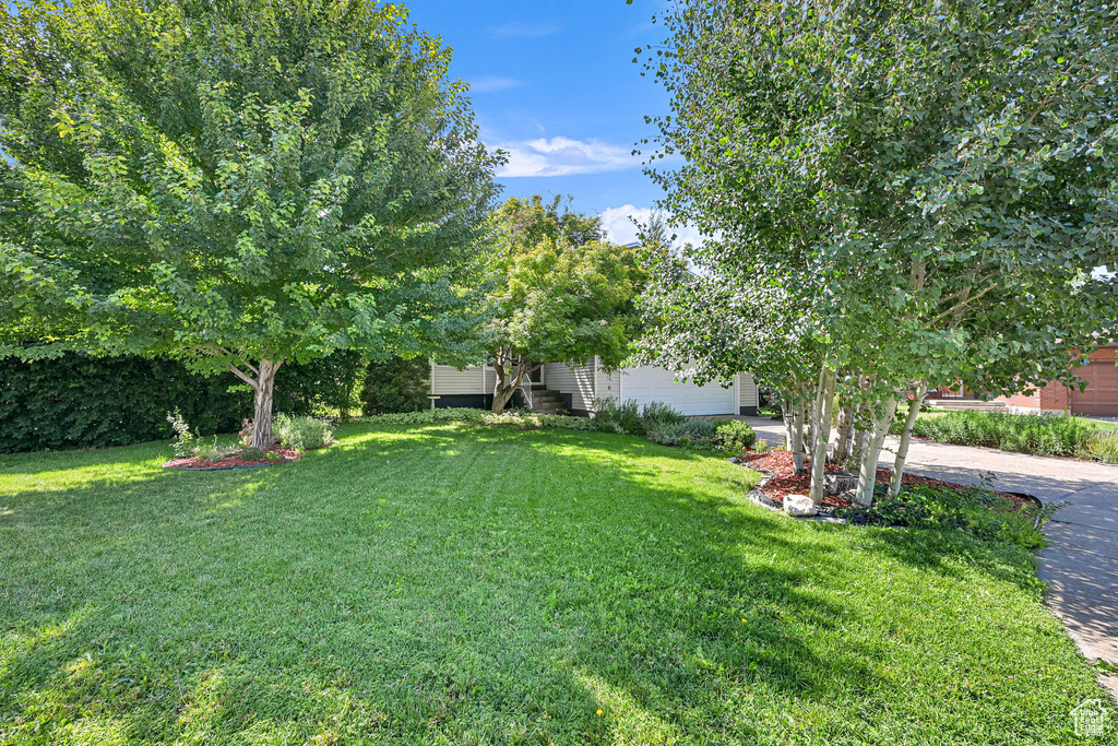 695 E 2450 N North Ogden, UT 84414
