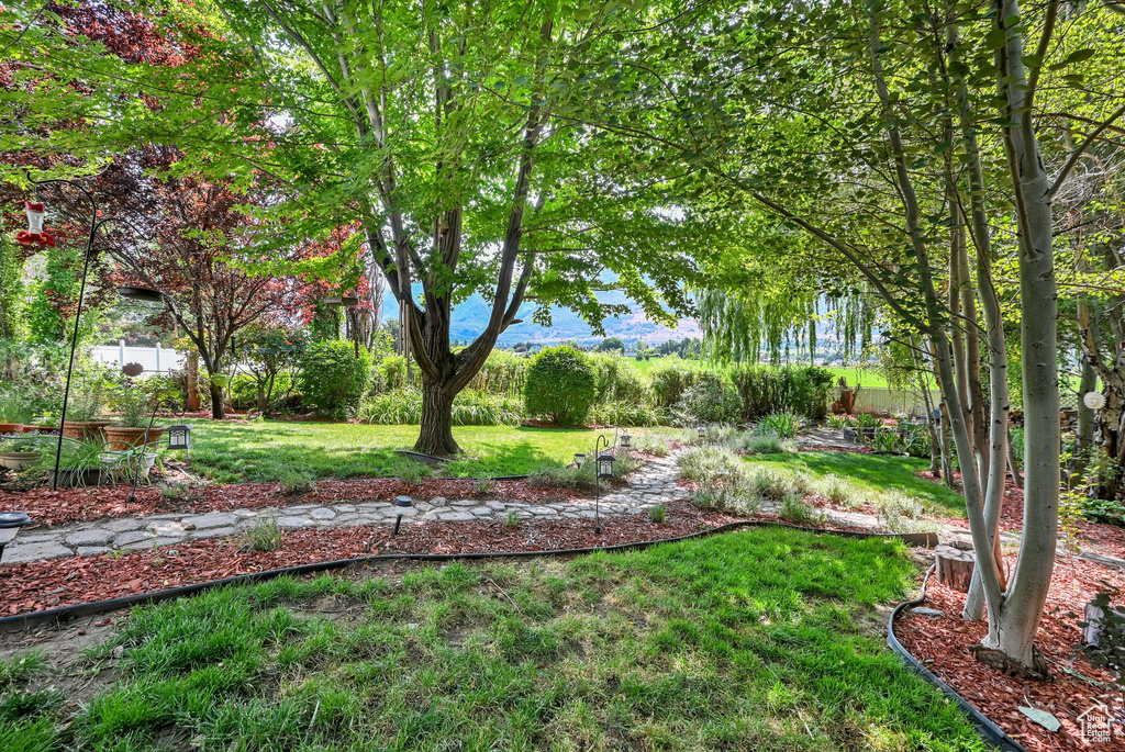695 E 2450 N North Ogden, UT 84414