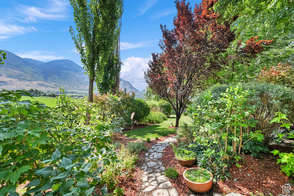 695 E 2450 N North Ogden, UT 84414