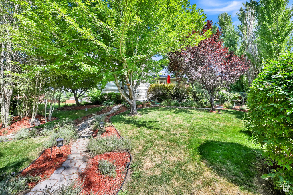 695 E 2450 N North Ogden, UT 84414