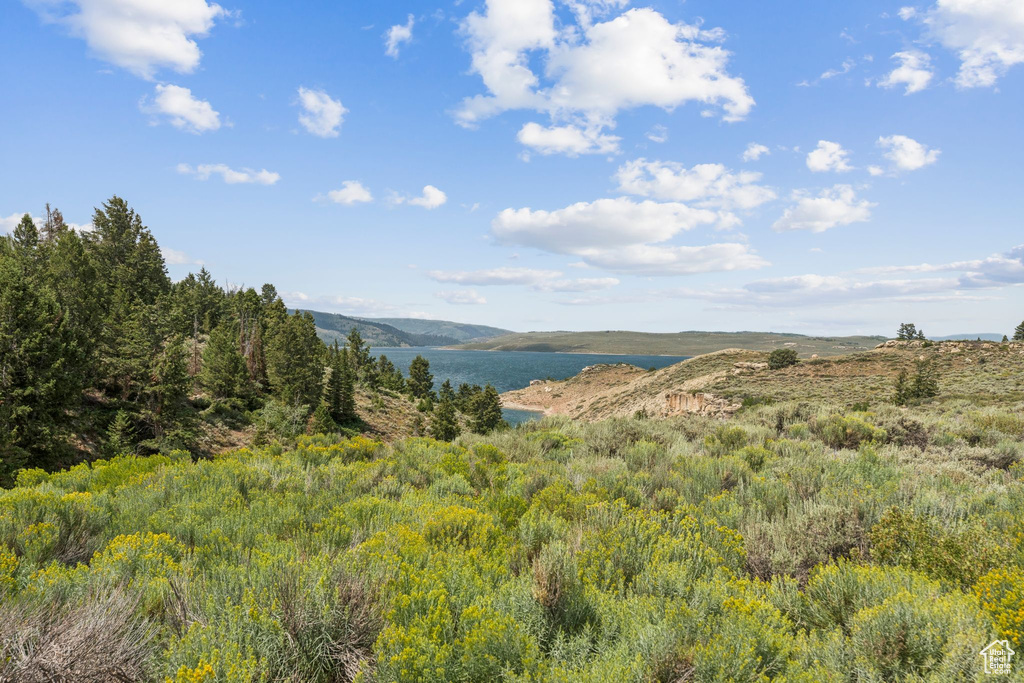 7964 S BRISTLECONE DR #86 Heber City, UT 84032