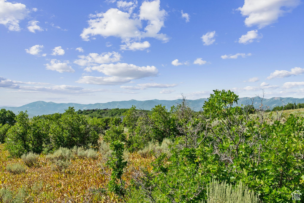 505 W DEER HILL RD Park City, UT 84098