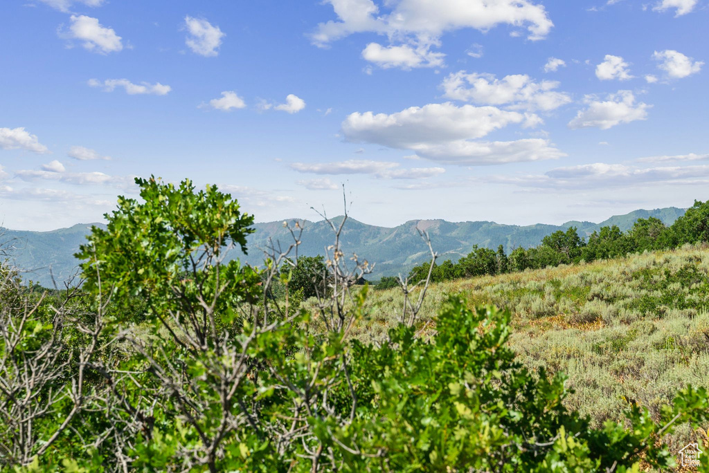 505 W DEER HILL RD Park City, UT 84098