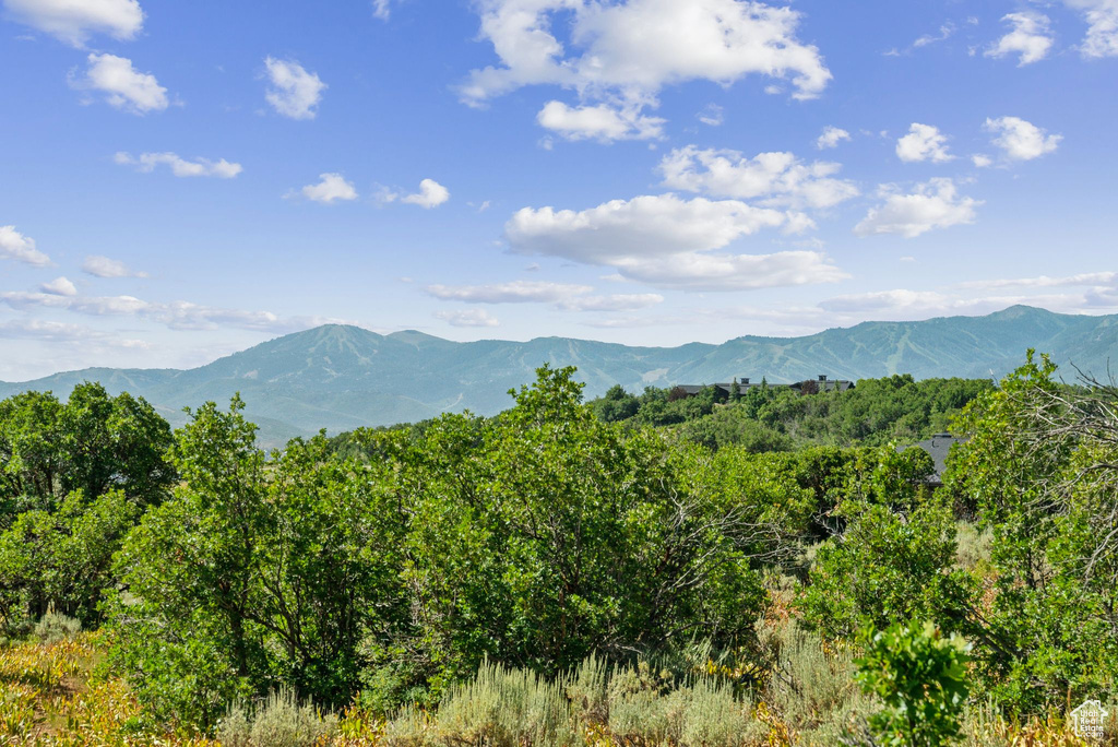 505 W DEER HILL RD Park City, UT 84098