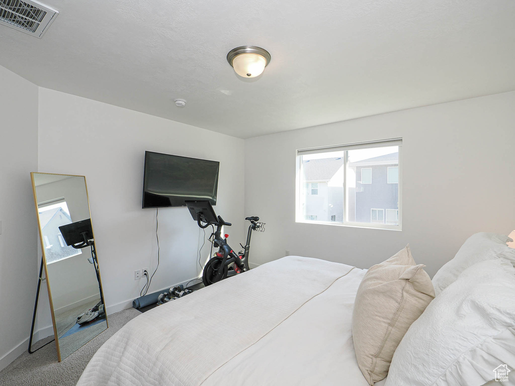 1164 W RACEHORSE WAY Bluffdale, UT 84065