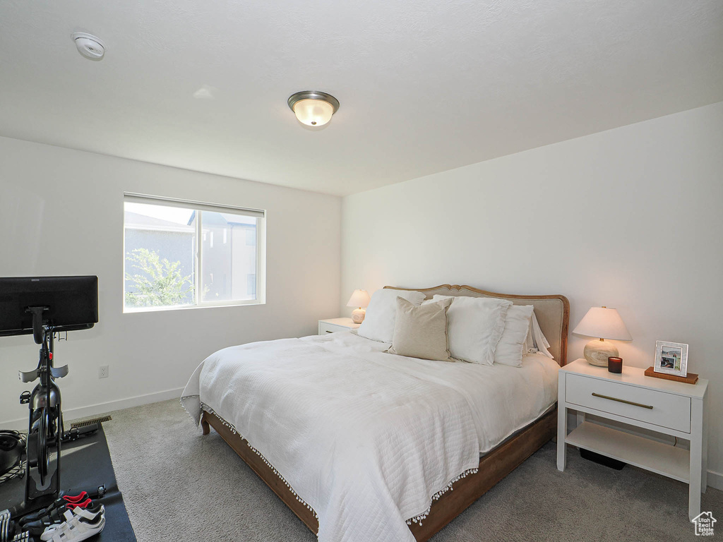 1164 W RACEHORSE WAY Bluffdale, UT 84065
