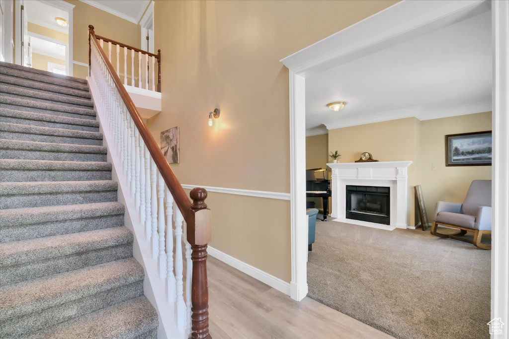 790 N 250 E Logan, UT 84321