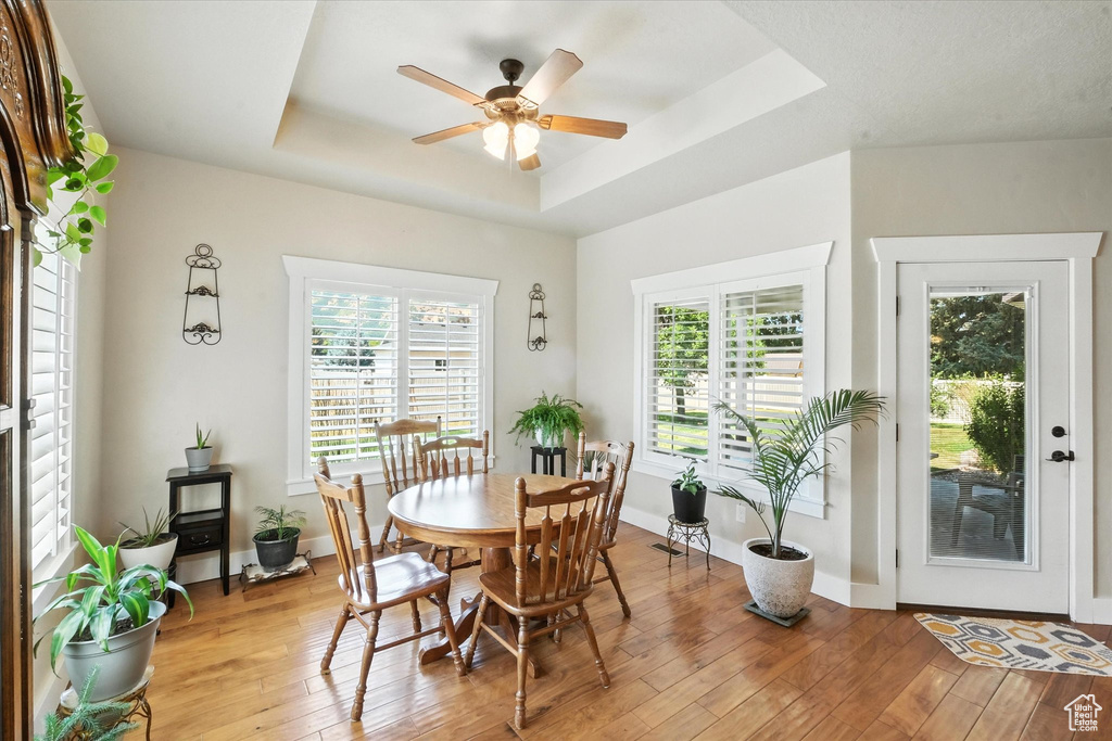 Dining room featuring a tray ceiling, a ceiling fan, and light wood finished floors