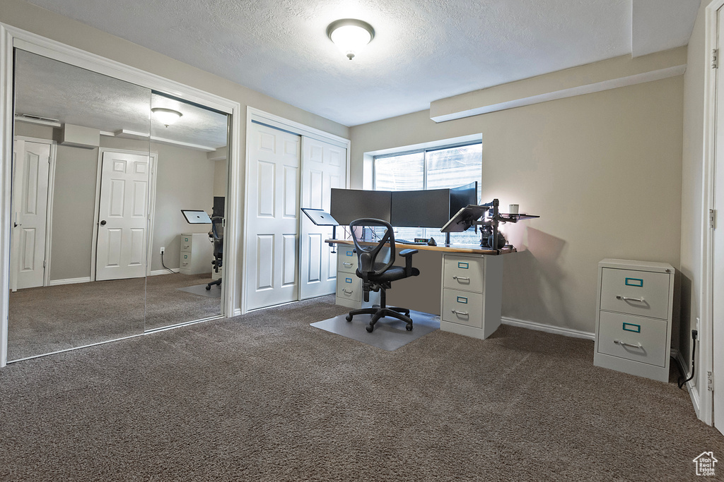 Carpeted office space featuring a textured ceiling