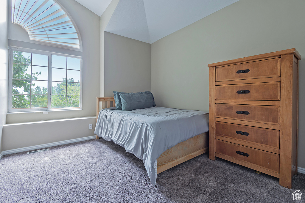Bedroom featuring dark carpet and lofted ceiling