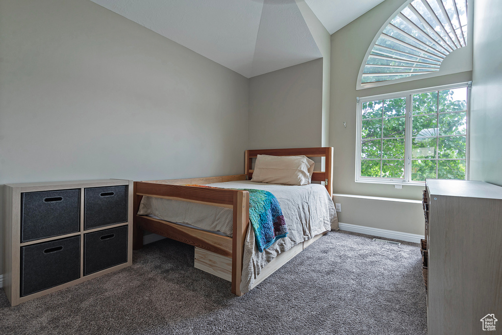 Carpeted bedroom with vaulted ceiling