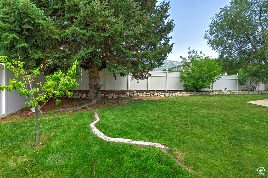 View of fenced backyard
