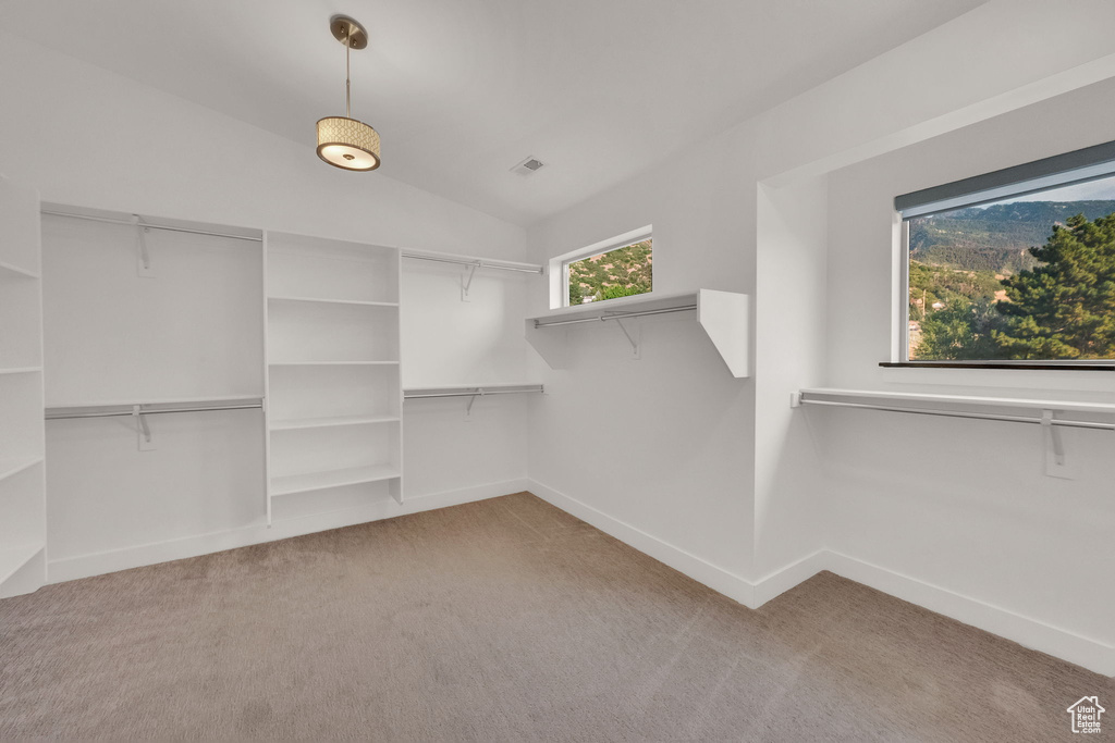 3573 E DANISH RD Cottonwood Heights, UT 84121