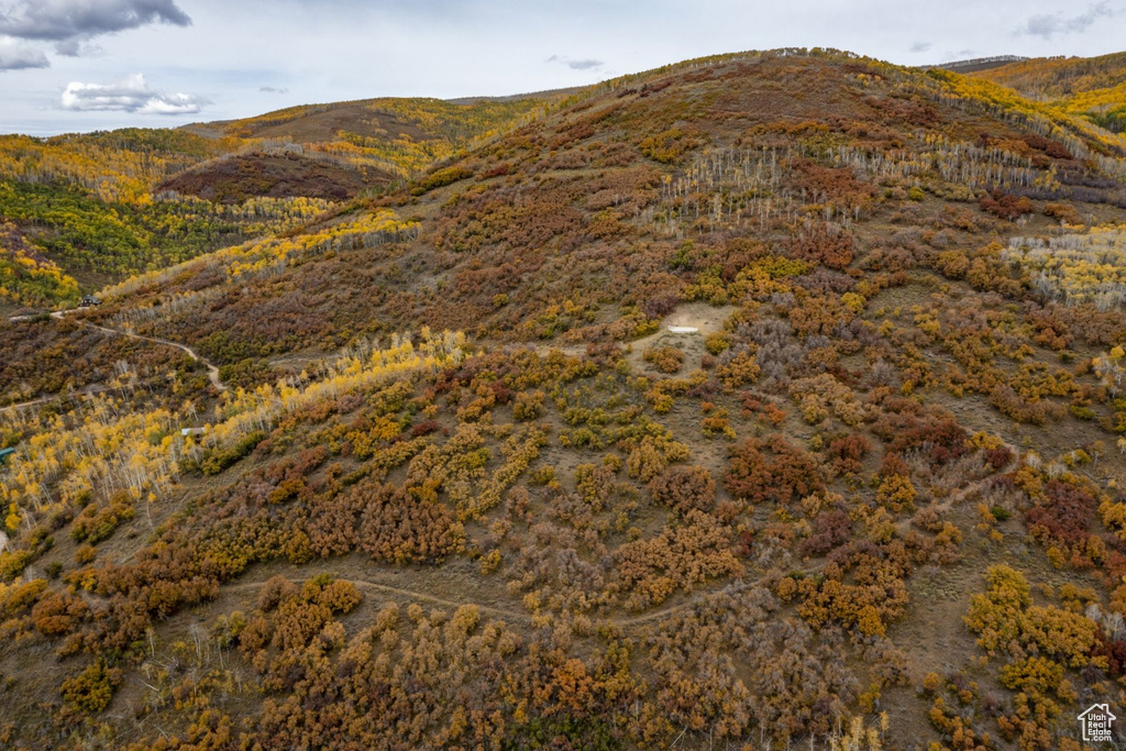 672  CARSON LN Oakley, UT 84055