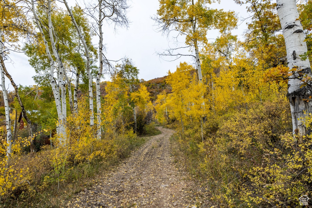 672  CARSON LN Oakley, UT 84055