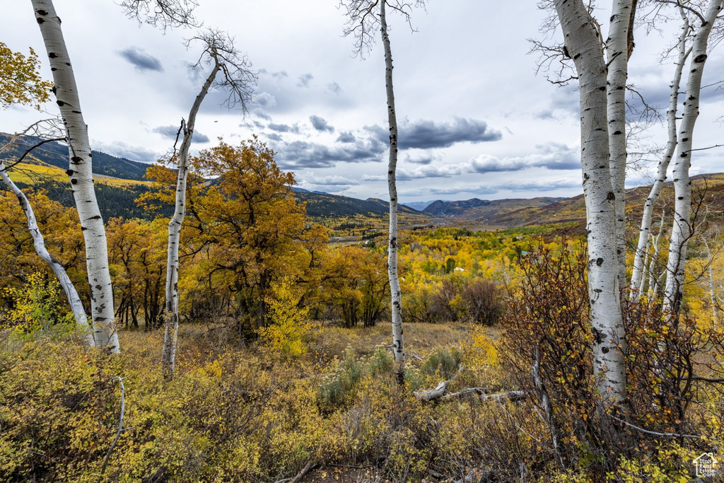 672  CARSON LN Oakley, UT 84055