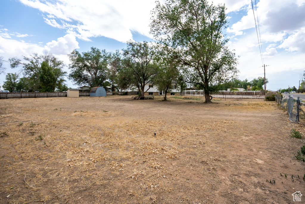 View of yard with a storage shed