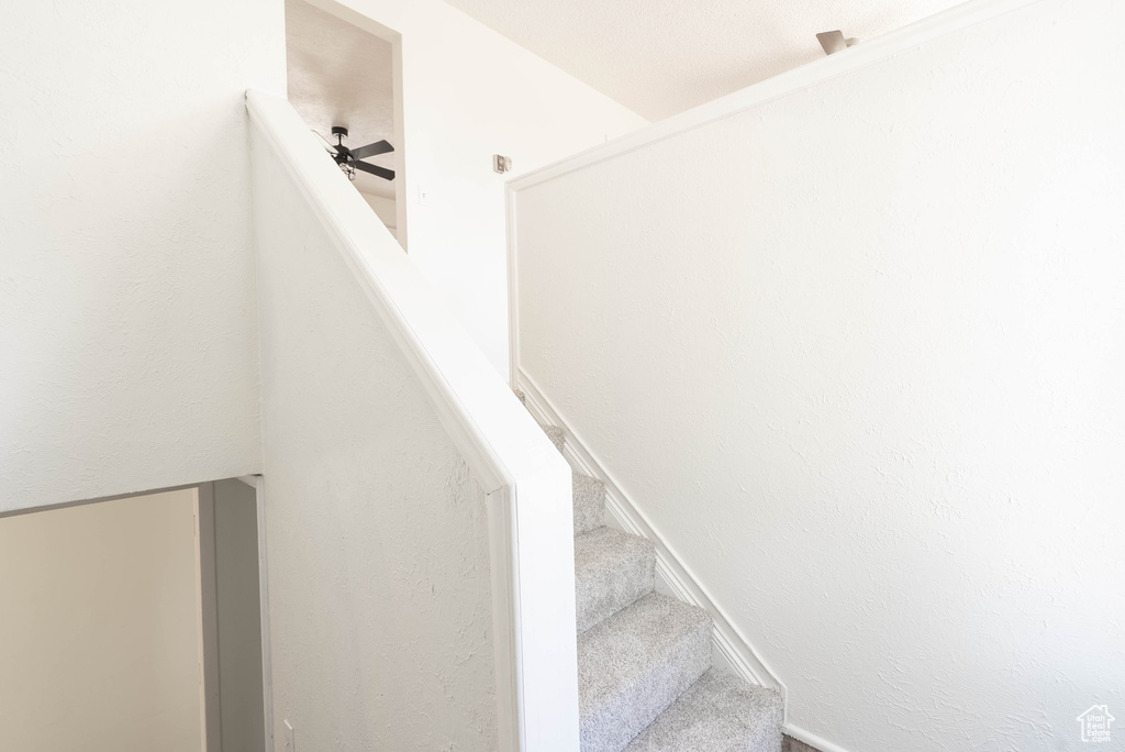 Staircase featuring a ceiling fan and carpet flooring