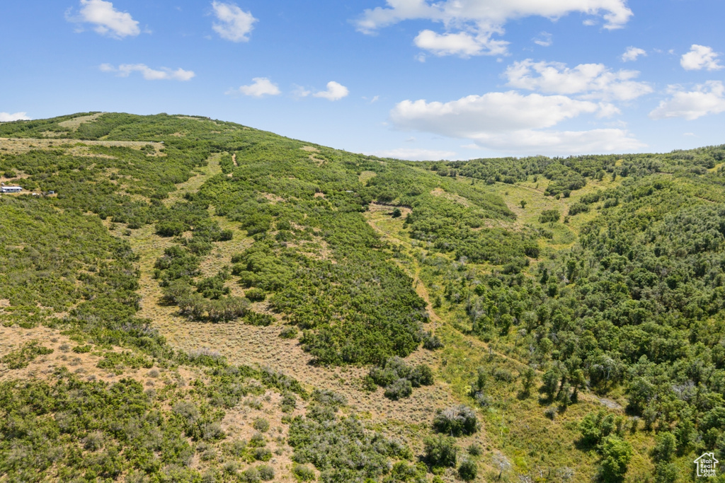 10969  SKYLINE RD Echo, UT 84024