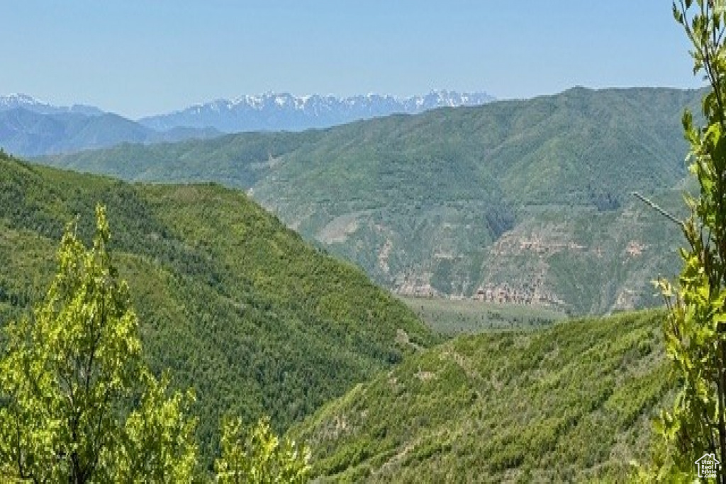 10969  SKYLINE RD Echo, UT 84024