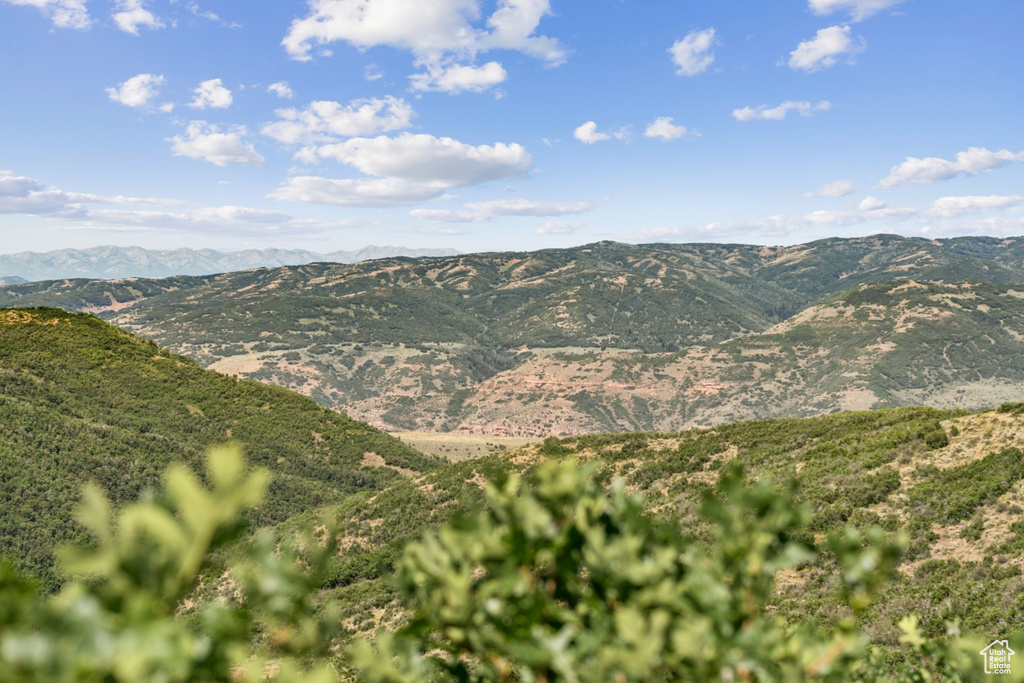 10969  SKYLINE RD Echo, UT 84024