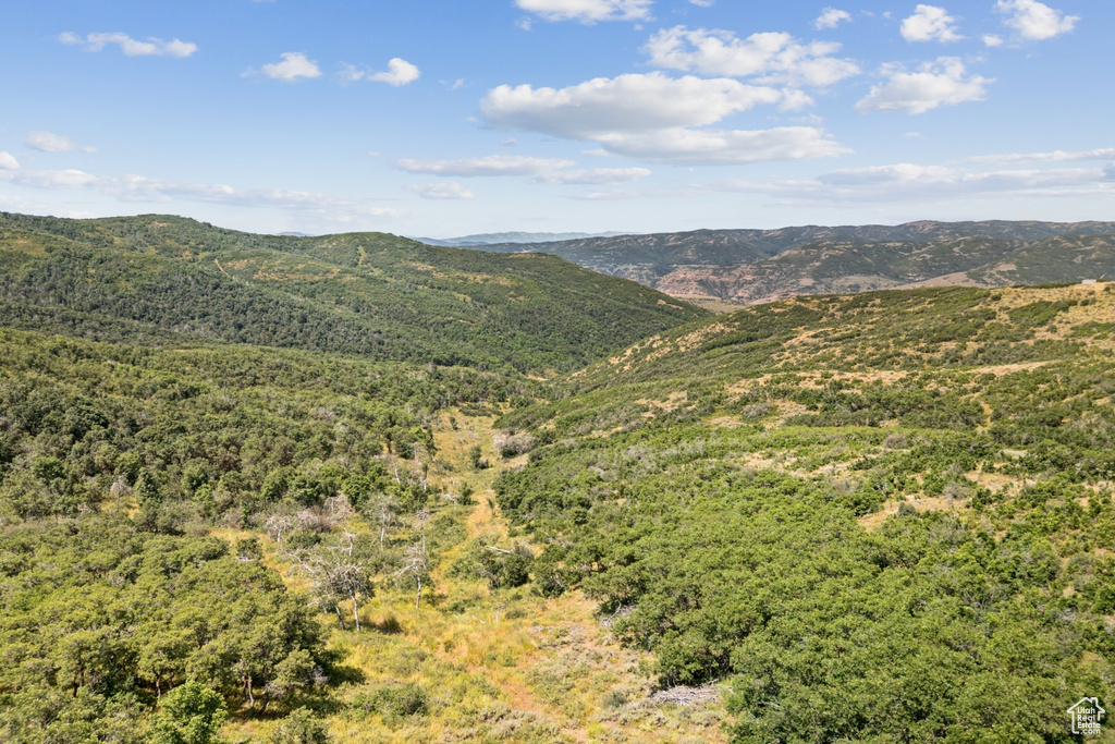 10969  SKYLINE RD Echo, UT 84024