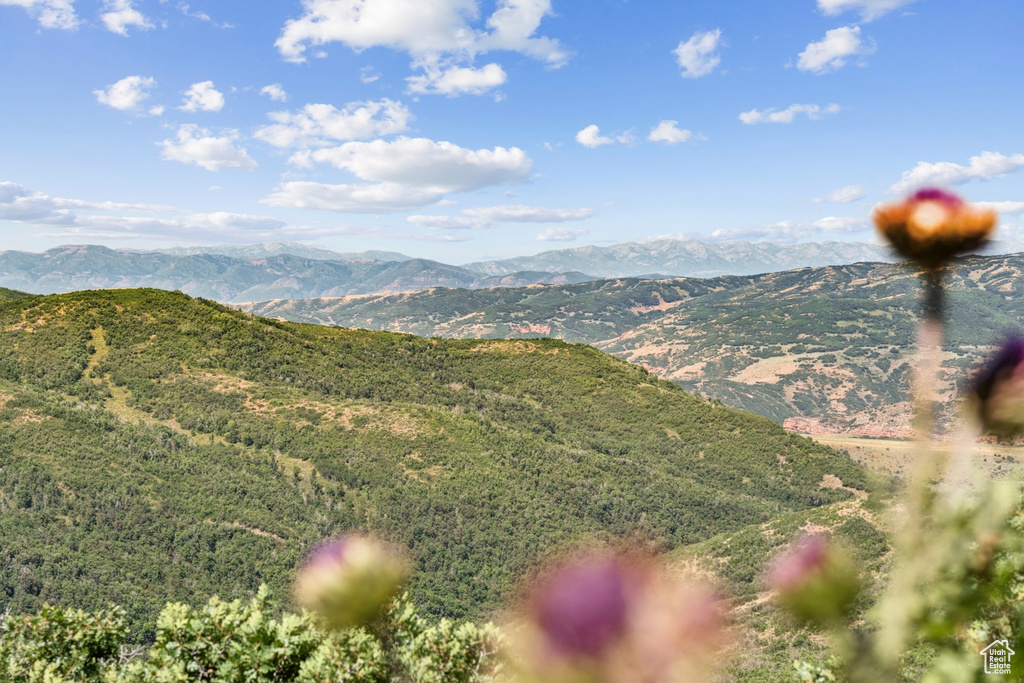 10969  SKYLINE RD Echo, UT 84024