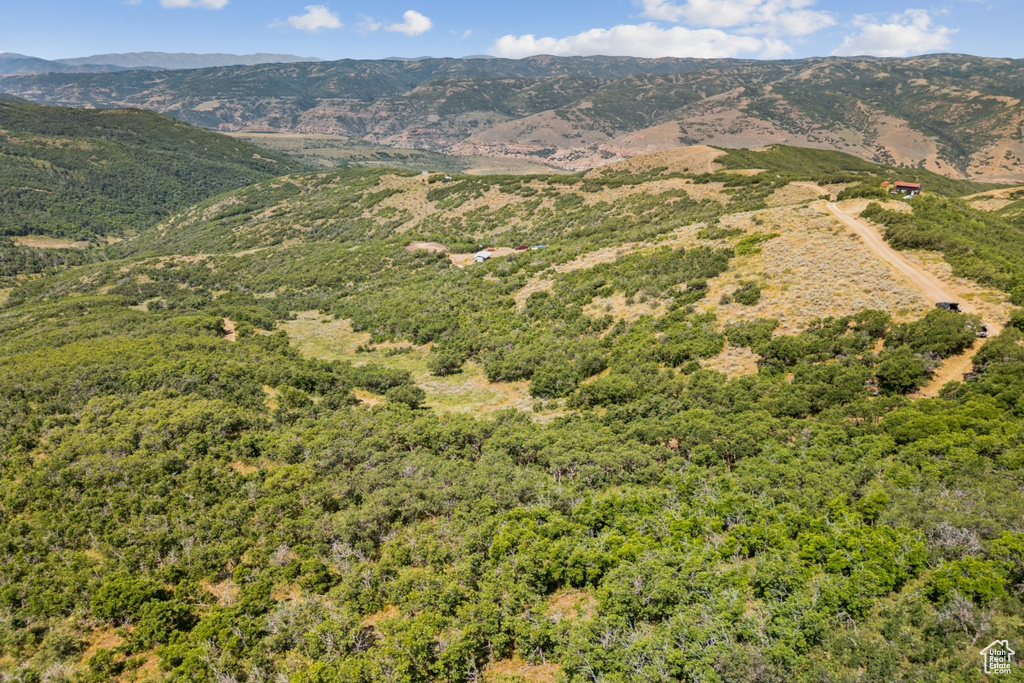 10969  SKYLINE RD Echo, UT 84024