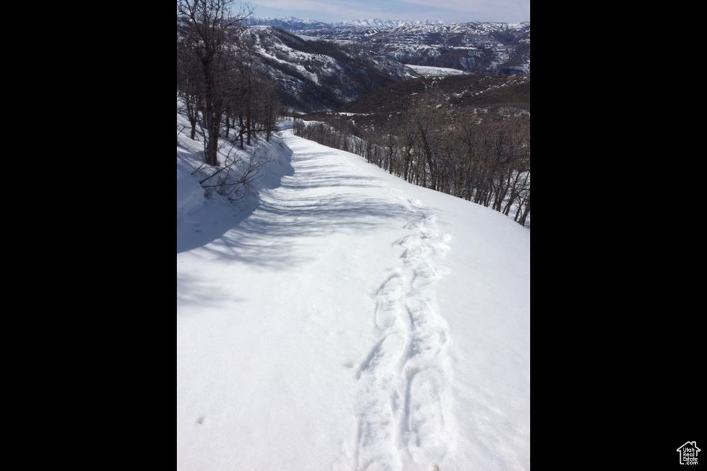 10969  SKYLINE RD Echo, UT 84024