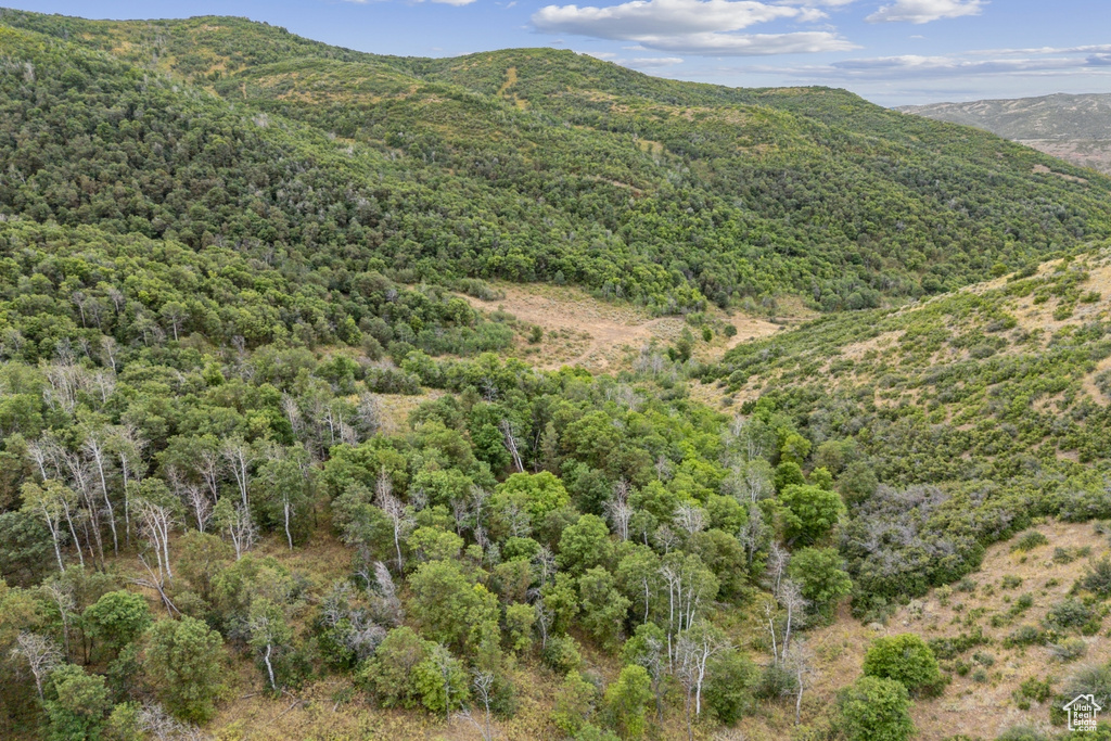 10969  SKYLINE RD Echo, UT 84024