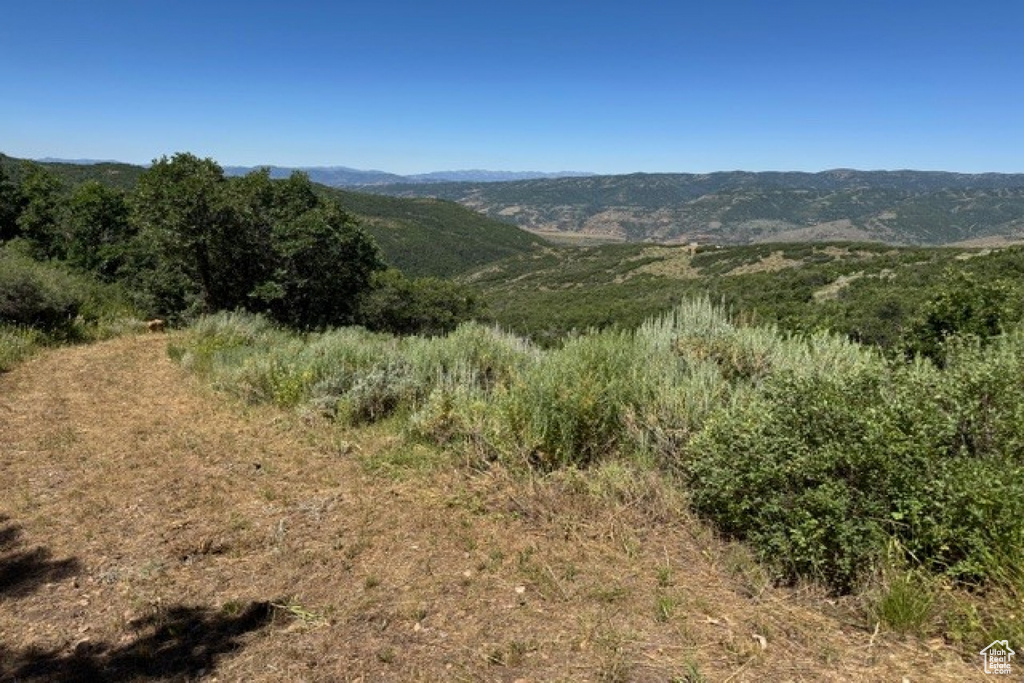 10969  SKYLINE RD Echo, UT 84024