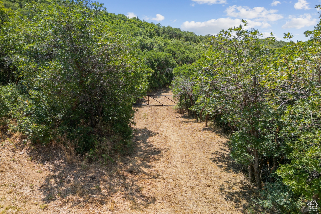 10969  SKYLINE RD Echo, UT 84024