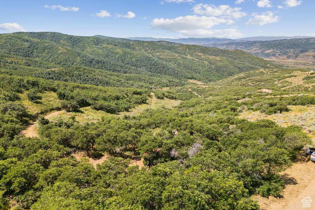 10969  SKYLINE RD Echo, UT 84024