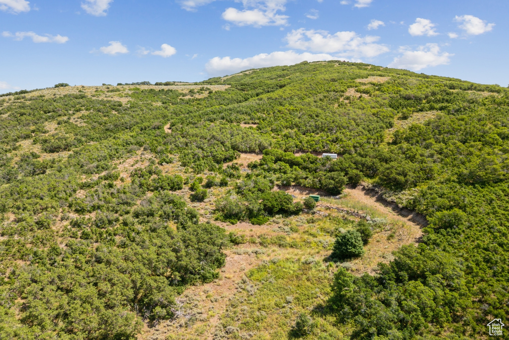 10969  SKYLINE RD Echo, UT 84024