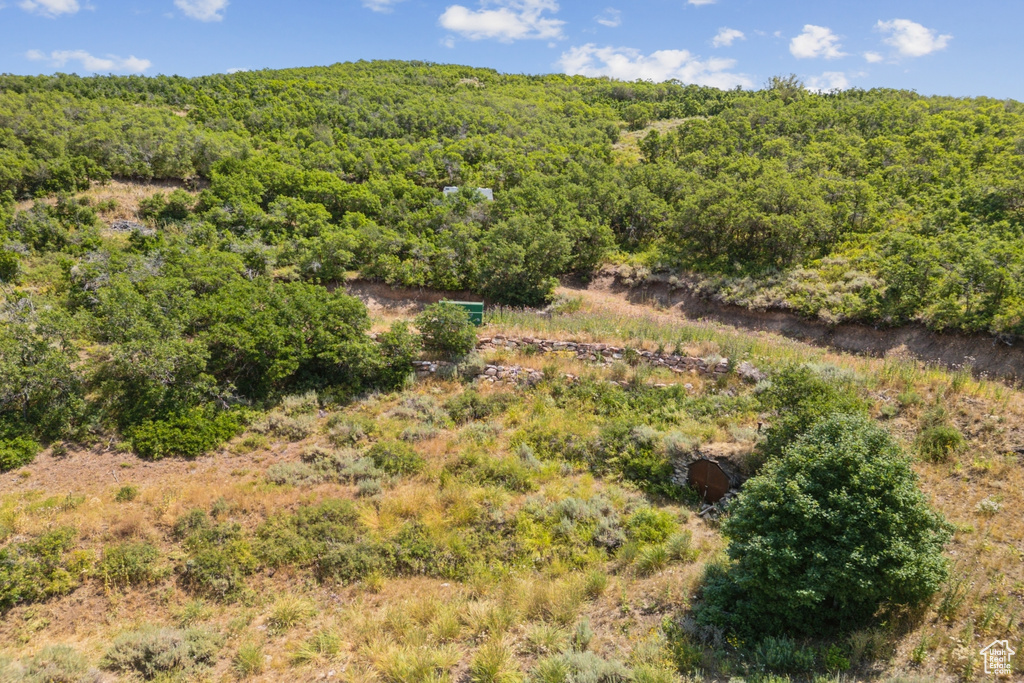 10969  SKYLINE RD Echo, UT 84024