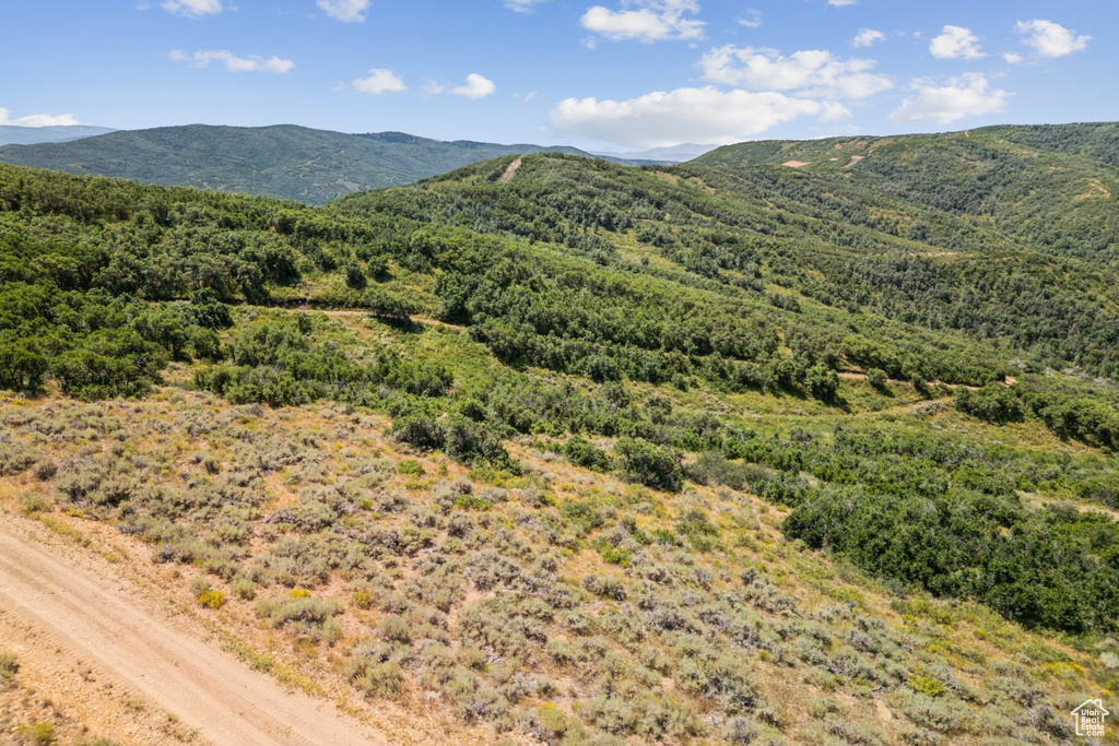 10969  SKYLINE RD Echo, UT 84024