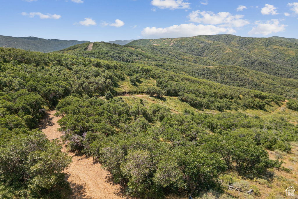 10969  SKYLINE RD Echo, UT 84024