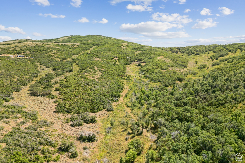 10969  SKYLINE RD Echo, UT 84024