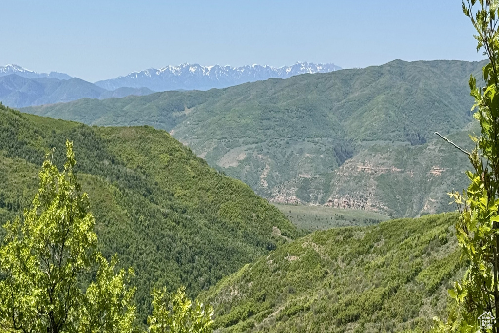 10969  SKYLINE RD Echo, UT 84024